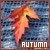 Fan of autumn