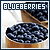 Fan of blueberries