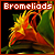 Fan of bromeliads