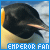 Fan of emperor penguins