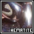 Fan of hematite