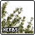 Fan of herbs