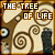 Fan of 'Tree of Life'