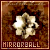 Fan of 'Mirrorball'