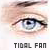 Fan of 'Tidal'