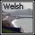 Fan of the Welsh language