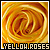 Fan of yellow roses