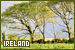 Ireland FL