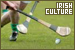 Irish Culture FL