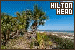 Hilton Head Island