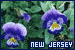 New Jersey