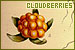 Cloudberries
