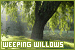 Weeping Willows